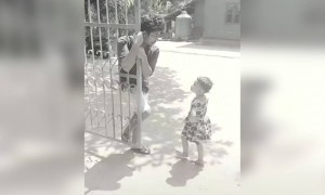 ഈ ചപ്പാത്തി മേക്കർ കൊള്ളാം !