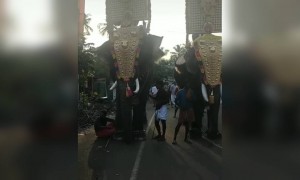 മൂന്നാമത്തെ ആന കലക്കി !