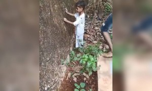 ഏതോ വലിയ മോഡൽ ആണെന്ന് തോന്നുന്നു !