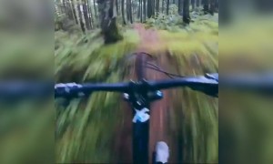 മാരകം തന്നെ !!