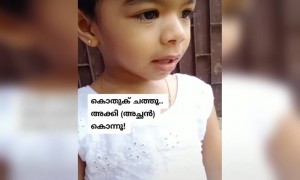 അച്ഛൻ ചത്തു കൊതുക് കൊന്നു !