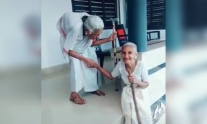 ഒരു നല്ല കാഴ്ച കണ്ടോ !