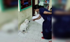 സത്യം ചെയ്യാനാ പറഞ്ഞത് !