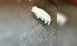 എന്താ രണ്ടും കൂടി അടിയാണല്ലോ !