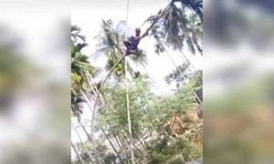 മോന് സമാധാനമായല്ലോ !