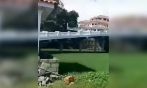 വയൽ നികത്താതെ വീട് വെച്ചത് വലിയ കാര്യമാണ് !