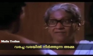 അമ്മമാർ പലവിധം; ട്രോൾ വീഡിയോ !
