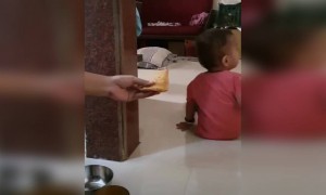 ആഹാ കൊച്ചിനെ പറ്റിച്ചു !