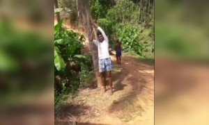 എന്തായോ എന്തോ !