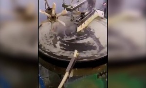 ദോശ നല്ലൊരു ദോശ !