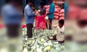 ഇതാണ് വർക്ക് ഏക്സ്പീരിയൻസ് !