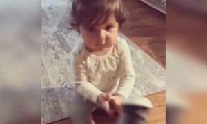 കലിപ്പത്തി പെണ്ണ് ആണല്ലോ !