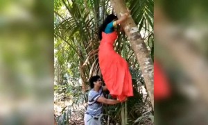 ഫോട്ടോ എടുക്കാൻ മരത്തിൽ കയറിയതാ !
