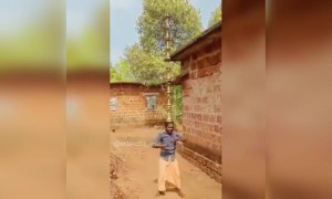 അപാര കഴിവ് തന്നെ