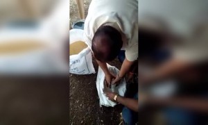 ശംഖ്, അത്ഭുതം തന്നെ