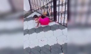 ആഹാ പിള്ളേർ കൊള്ളാല്ലോ