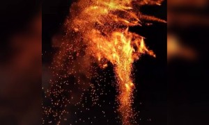 എങ്ങനെയുണ്ട് ഈ കാഴ്ച !