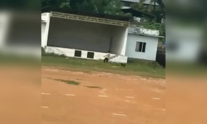 പാവം ചെക്കൻ അല്ലെ !