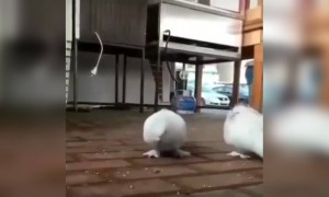 അടിപൊളി തന്നെ !!