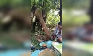 ഞങ്ങൾ ഒരു പാത്രത്തിൽ നിന്ന് ആഹാരം കഴിക്കുന്നവരാ !