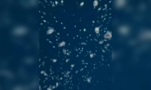 കണ്ണ് കൊണ്ട് കാണുന്നത് സത്യമാണോ !