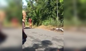 ഭാഗ്യത്തിന് ഒന്നും പറ്റിയില്ല, പഴയ വീഡിയോ !