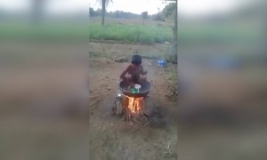 ശ്ശെടാ, ചെറുക്കൻ വേറെ ലെവൽ