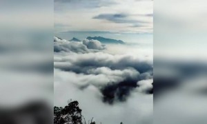 മനോഹരമായ കാഴ്ച.