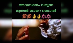 മലയാള സിനിമയിലെ എണ്ണം പറഞ്ഞ വില്ലന്മാർ !