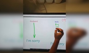 സോറി, ഭർത്താവും ഭാര്യയും !