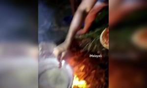 പെട്രോളിൽ ആണോടാ മീൻ പൊരിക്കുന്നത്