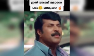 മമ്മൂക്കയുടെ അഭിനയം