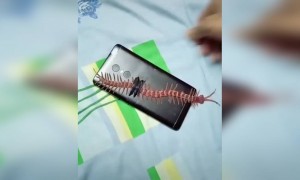 ആ ഫോൺ പൊട്ടി കാണുമോ !