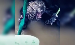 ആ കണ്ണ് കണ്ടോ !