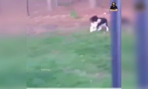 ഇജ്ജാതി ഡബ്ബിങ്