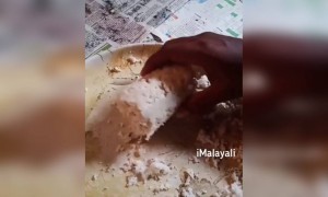 ചുറ്റിക തന്നെ വേണം