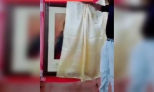 സിസ്റ്റർ ലിനി, മാലാഖ