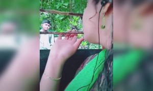 ഒരു ട്രെയിൻ കാഴ്ച