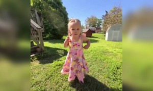 കാക്കേ കാക്കേ കൂടെവിടെ !