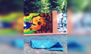 കിടിലൻ കലാവിരുത് തന്നെ കുട്ടി !