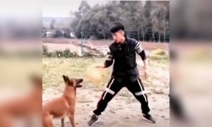 ഇത് എങ്ങാണം പുറകെ കൂടിയാലുള്ള അവസ്ഥ