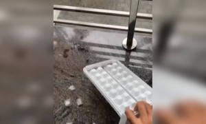 ആഹാ ആലിപ്പഴം