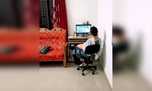 ചേട്ടനും അനിയത്തിയും