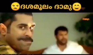 ദശമൂലം ദാമു !!..