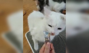 നാക്കിൽ കടിക്കല്ലടോ