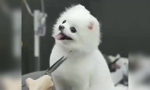 മുടിയൊക്കെ വെട്ടി സുന്ദരൻ ആയല്ലോ !