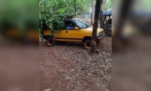 മോഡിഫൈഡ് വണ്ടി