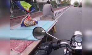 ഒരു നല്ല കാഴ്‌ച...