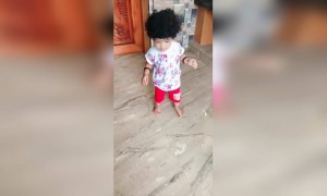 വാവേ വാവാച്ചി...