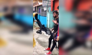 പെൺകുട്ടി ..